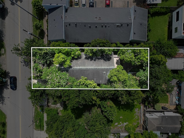 1112 Fairview Ave, Houston, TX 77006 - photo 8