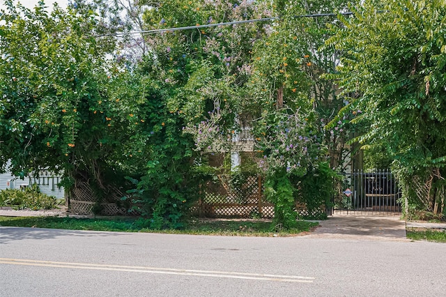 1112 Fairview Ave, Houston, TX 77006 - photo 9