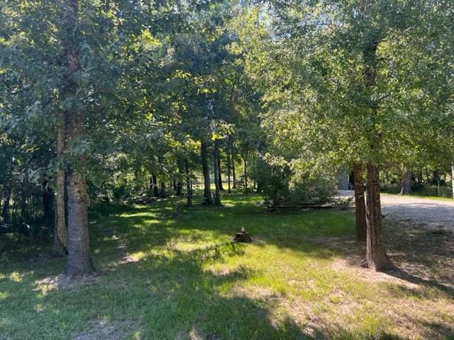 478 Center Dr, Cleveland, TX 77327 - photo 22