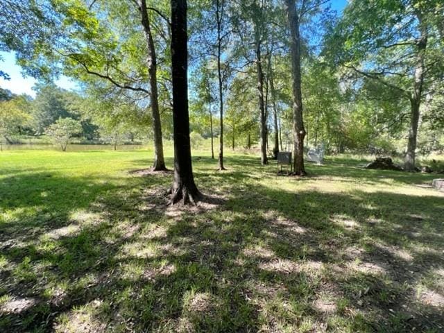 478 Center Dr, Cleveland, TX 77327 - photo 19