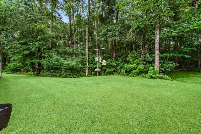 159 Pine Valley Dr, Livingston, TX 77351 - photo 29