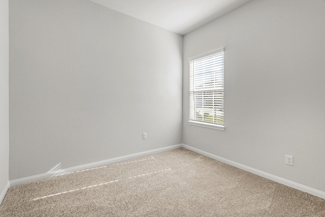 8215 Blooming Meadow Ln, Houston, TX 77016 - photo 5