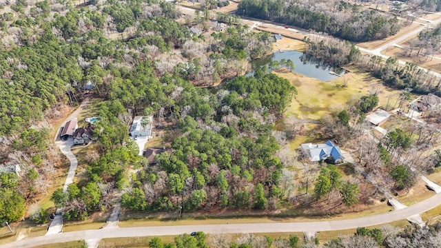367 Vista Del Lago Dr, Huffman, TX 77336 - photo 8