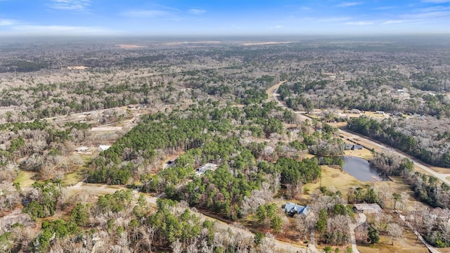 367 Vista Del Lago Dr, Huffman, TX 77336 - photo 10