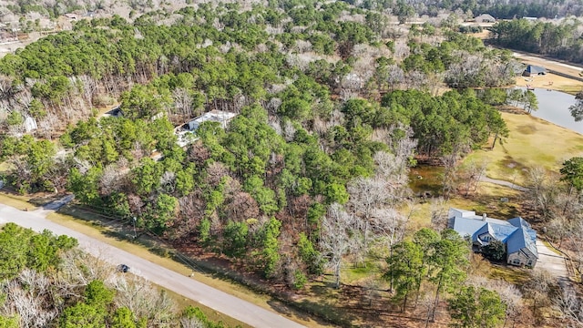 367 Vista Del Lago Dr, Huffman, TX 77336 - photo 16