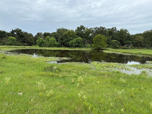 38201 Wiggins Rd, Hempstead, TX 77445 - photo 7