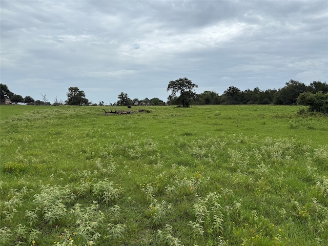 38201 Wiggins Rd, Hempstead, TX 77445 - photo 8