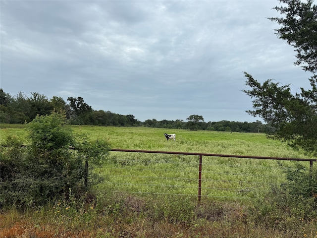 38201 Wiggins Rd, Hempstead, TX 77445 - photo 11
