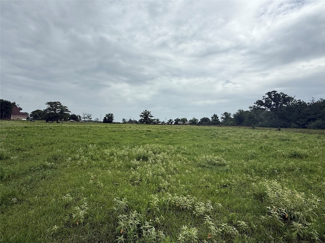 38201 Wiggins Rd, Hempstead, TX 77445 - photo 4