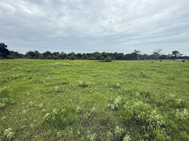 38201 Wiggins Rd, Hempstead, TX 77445 - photo 5