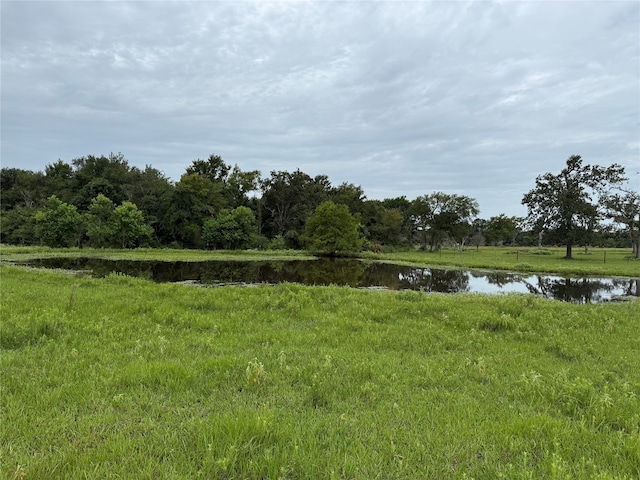 38201 Wiggins Rd, Hempstead, TX 77445 - photo 6