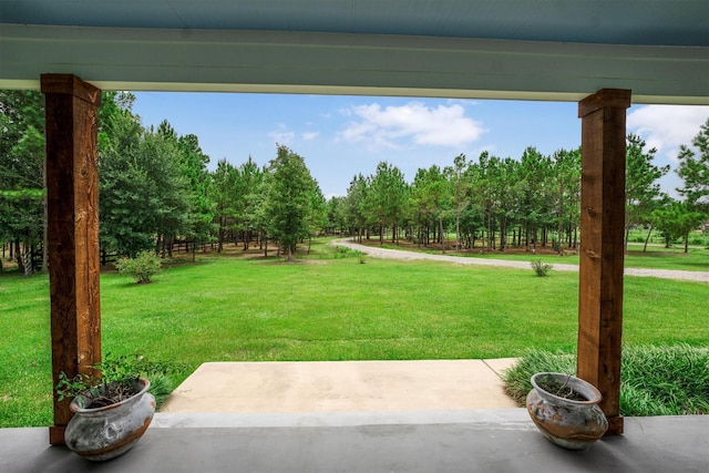 1022 Fm 1696th Rd W, Huntsville, TX 77320 - photo 7