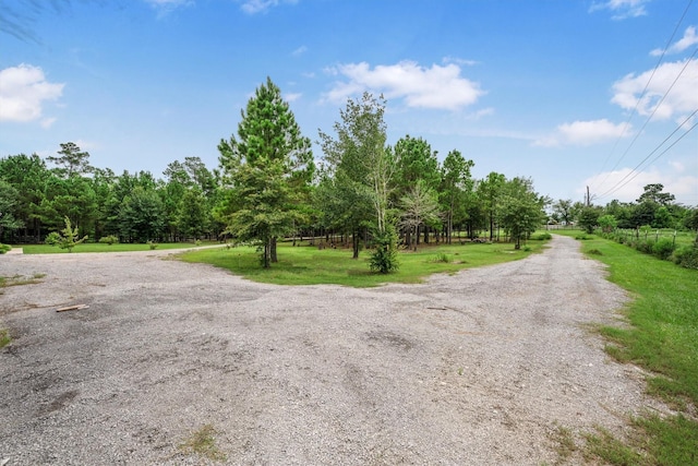 1022 Fm 1696th Rd W, Huntsville, TX 77320 - photo 33