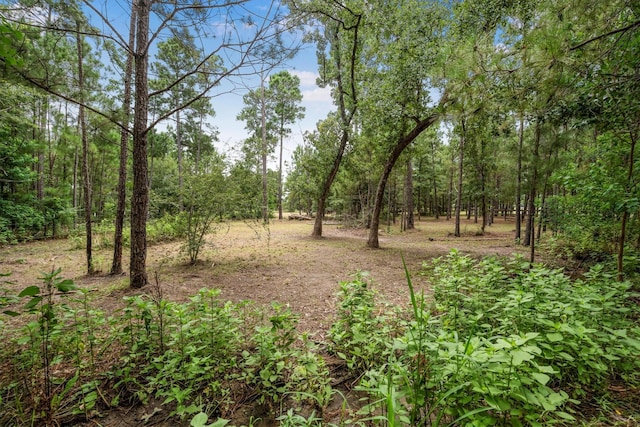 1022 Fm 1696th Rd W, Huntsville, TX 77320 - photo 47
