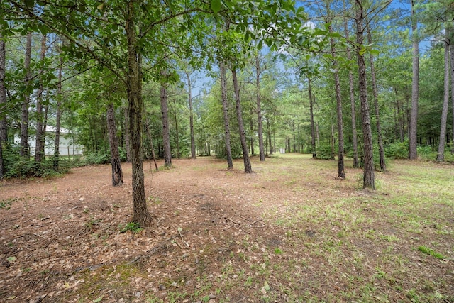 1022 Fm 1696th Rd W, Huntsville, TX 77320 - photo 48