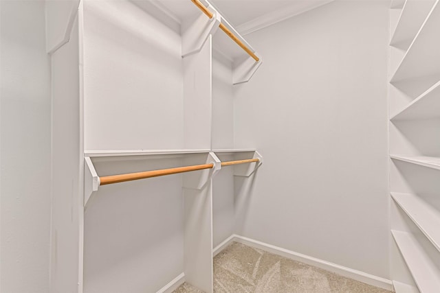 424 15th St Unit 113, Galveston, TX 77550 - photo 27