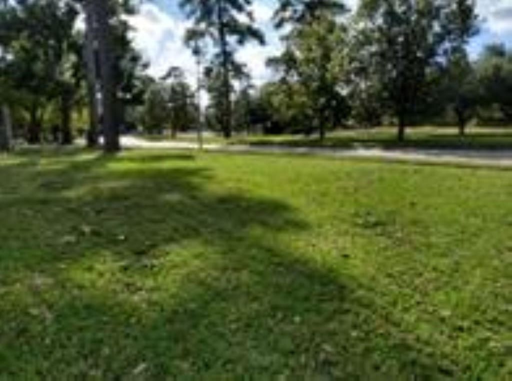 1134 Wynnwood Ln, Houston, TX 77008 - photo 2
