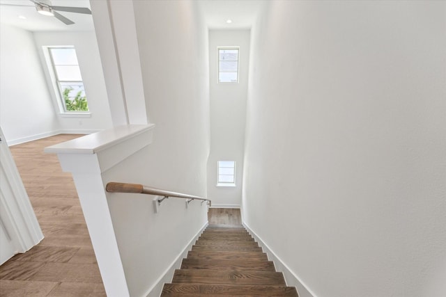 5309 Eigel St, Houston, TX 77007 - photo 20