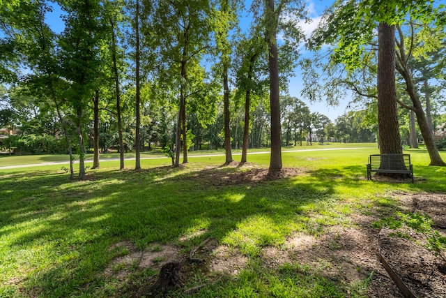 179 Monterrey Rd E, Montgomery, TX 77356 - photo 44
