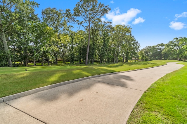 179 Monterrey Rd E, Montgomery, TX 77356 - photo 45