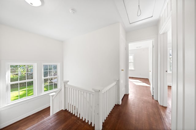 3323 Wichita St, Houston, TX 77004 - photo 20