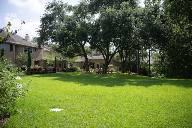 12625 Memorial Dr Unit 4, Houston, TX 77024 - photo 49