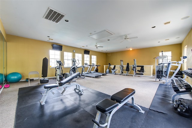3001 Murworth Dr Unit 604, Houston, TX 77025 - photo 18
