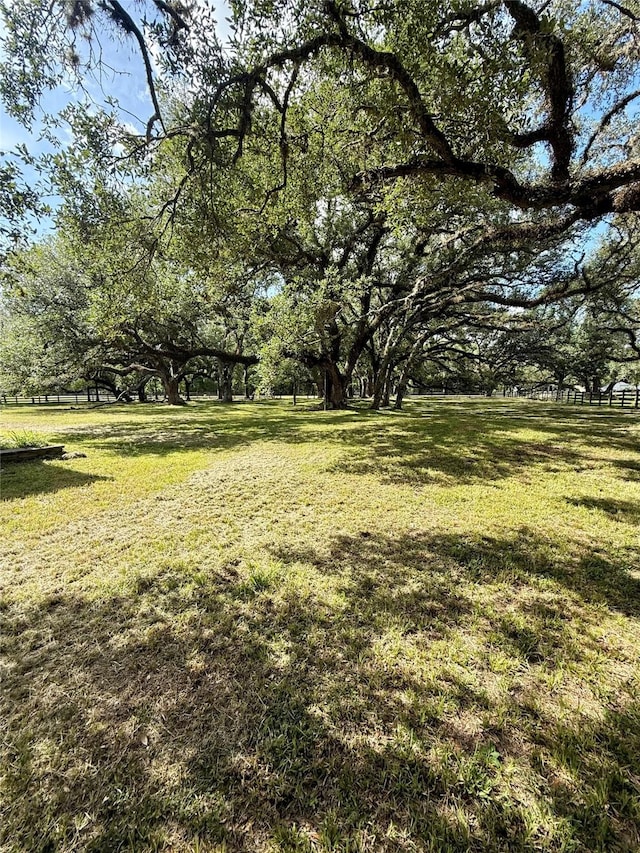 7411 Pecan Dr, Damon, TX 77430 - photo 42