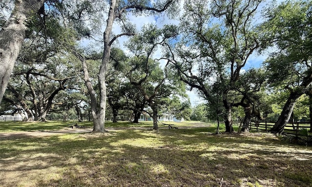 7411 Pecan Dr, Damon, TX 77430 - photo 45