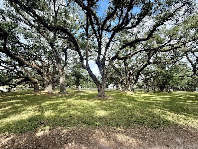 7411 Pecan Dr, Damon, TX 77430 - photo 46