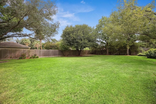 18302 Fernbluff Dr, Spring, TX 77379 - photo 30