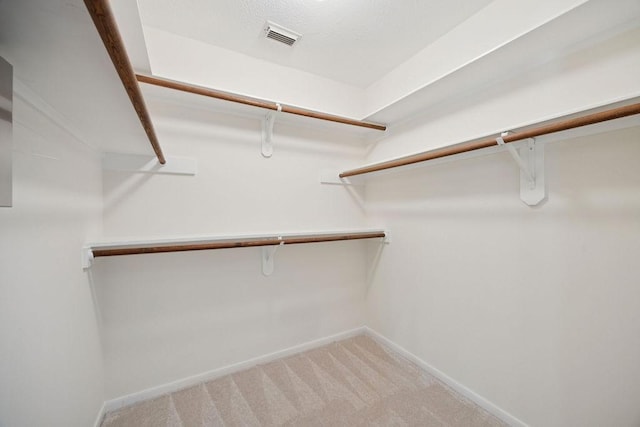 18302 Fernbluff Dr, Spring, TX 77379 - photo 24