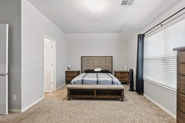 12911 Italian Cypress Trl, Houston, TX 77044 - photo 13