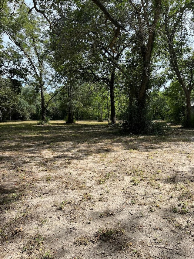 8008 Fm S 646, Santa Fe, TX 77510 - photo 5