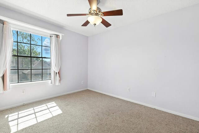 306 Crocus St, Lake Jackson, TX 77566 - photo 24