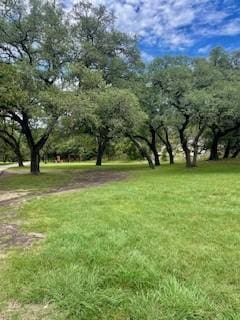 1544 Rimrock Cv, Spring Branch, TX 78070 - photo 17