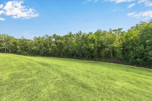3413 Robinson Dr, Pearland, TX 77581 - photo 29