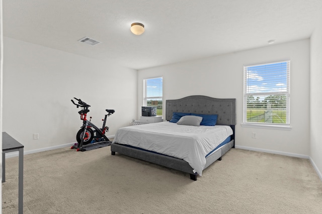 13067 Mills Creek Meadow Dr, Houston, TX 77070 - photo 28
