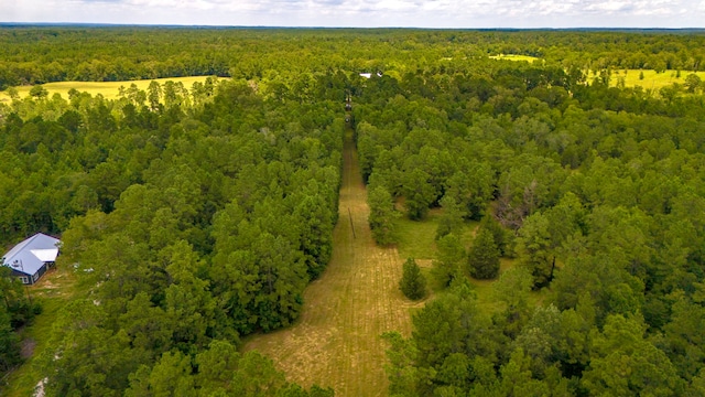 0000 Fm-942, Livingston, TX 77351 - photo 4
