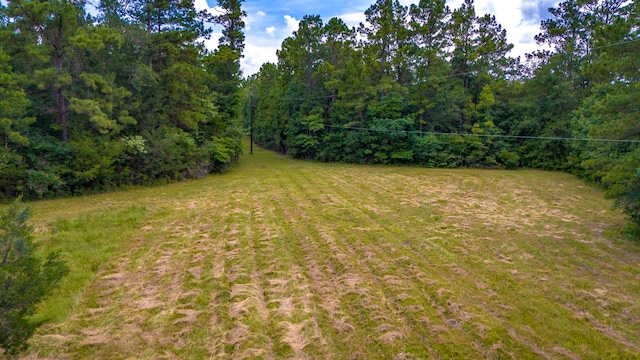 0000 Fm-942, Livingston, TX 77351 - photo 11