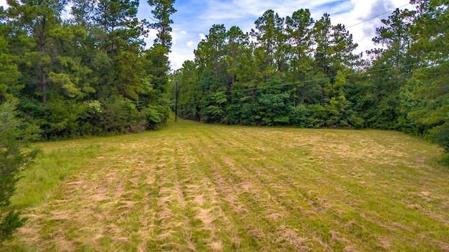 0000 Fm-942, Livingston, TX 77351 - photo 12