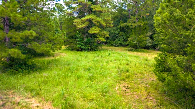 0000 Fm-942, Livingston, TX 77351 - photo 13