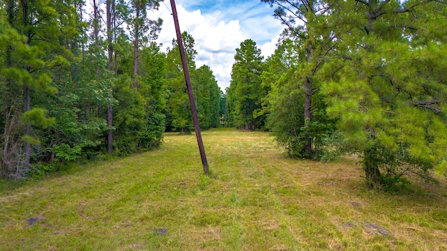 0000 Fm-942, Livingston, TX 77351 - photo 14