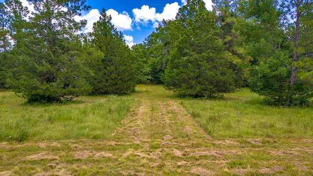 0000 Fm-942, Livingston, TX 77351 - photo 15