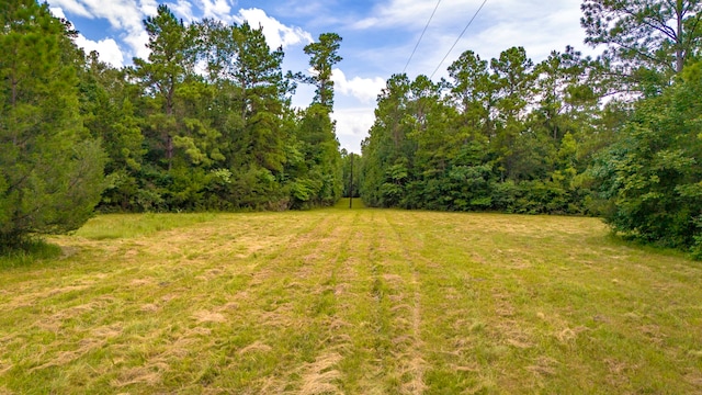0000 Fm-942, Livingston, TX 77351 - photo 16