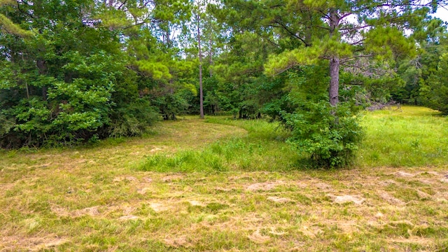 0000 Fm-942, Livingston, TX 77351 - photo 17