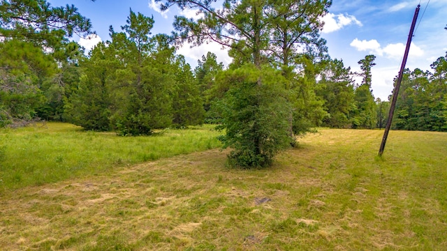 0000 Fm-942, Livingston, TX 77351 - photo 18