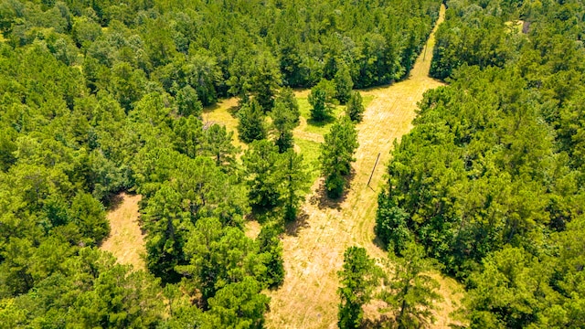 0000 Fm-942, Livingston, TX 77351 - photo 9