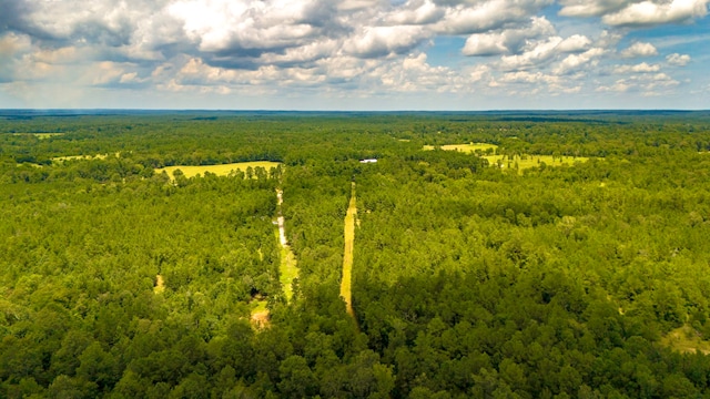 0000 Fm-942, Livingston, TX 77351 - photo 25