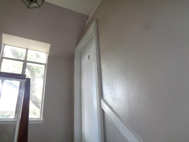 2585 Marilee Ln Unit 2, Houston, TX 77057 - photo 6
